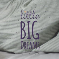Little Big Dreams Logo